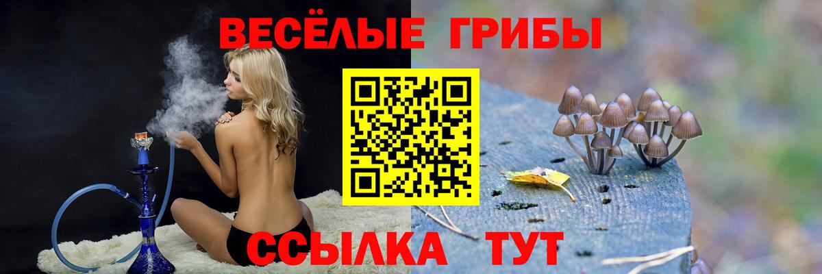 Псилоцибиновые грибы мицелий  Псилоцибиновые грибы мухоморы  Удомля  купить   Вход с VPN 